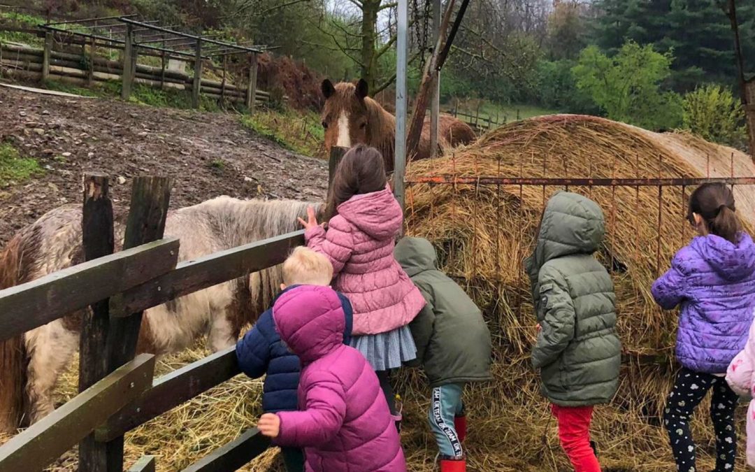 Vacanze di Pasqua a sorpresa per i nostri Elfi