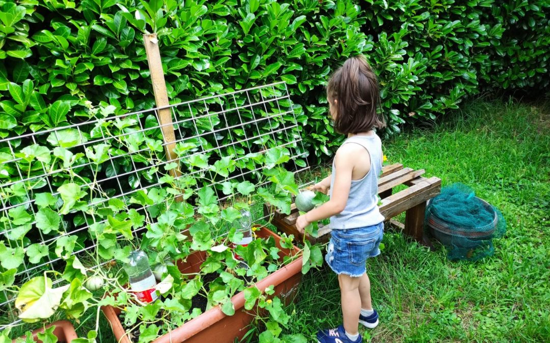 Un piccolo orto in Comunità
