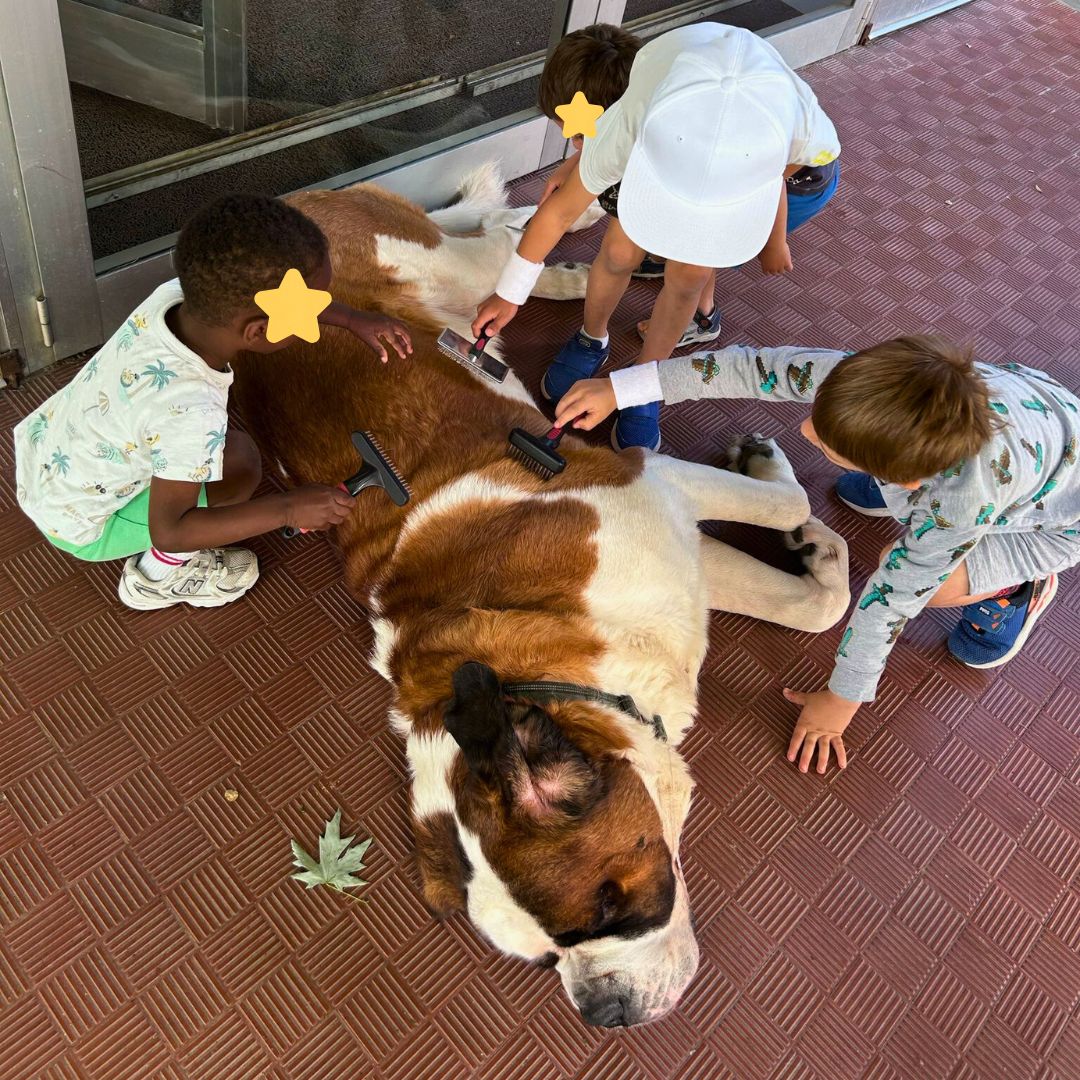 Pet Teraphy - Associazione CAF