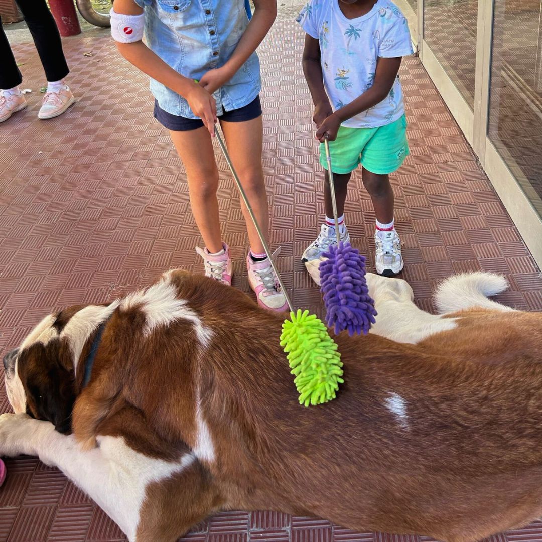 Pet Teraphy - Associazione CAF