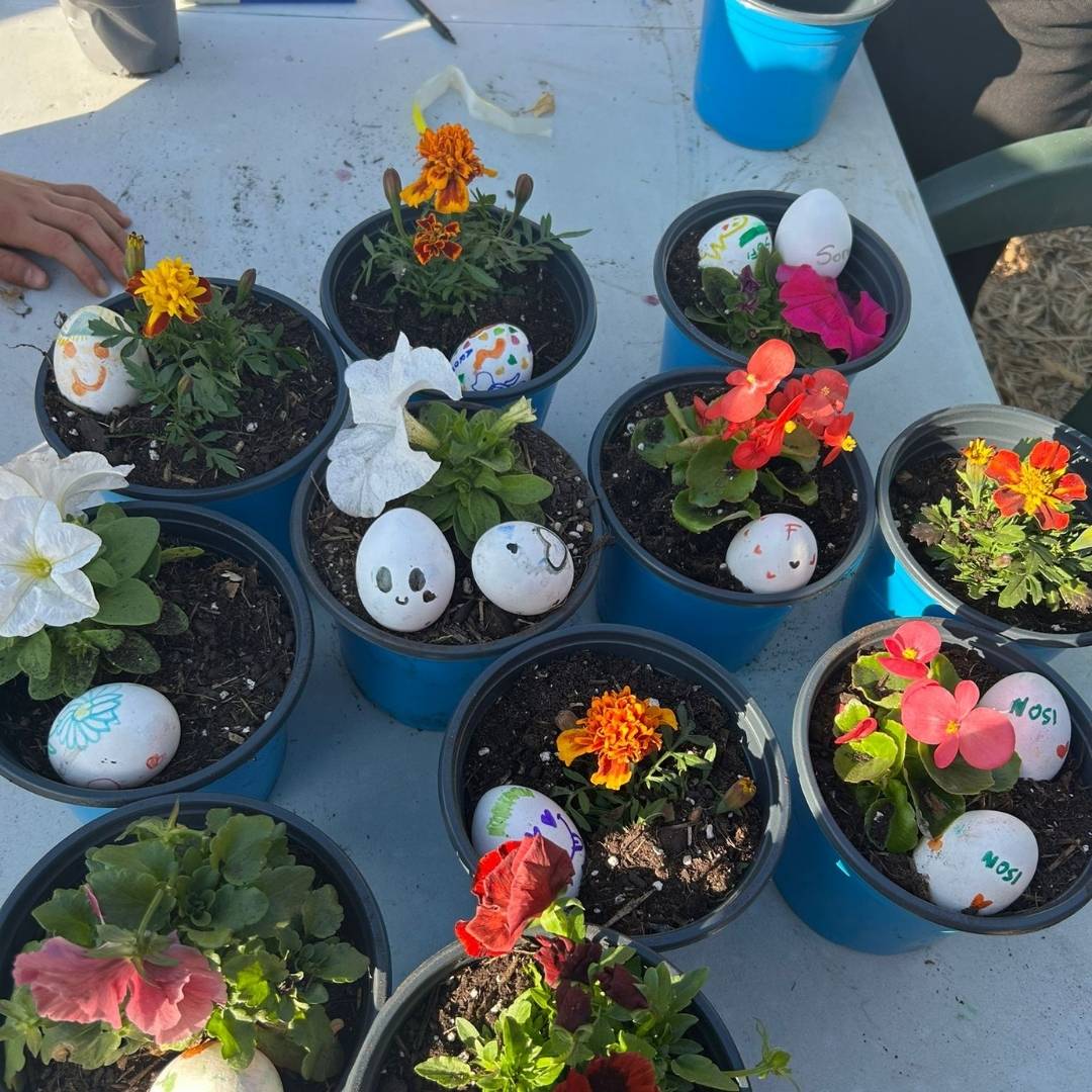 Vacanze Pasquali - Associazione CAF